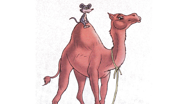 The Arrogant Mouse and The Humble Camel